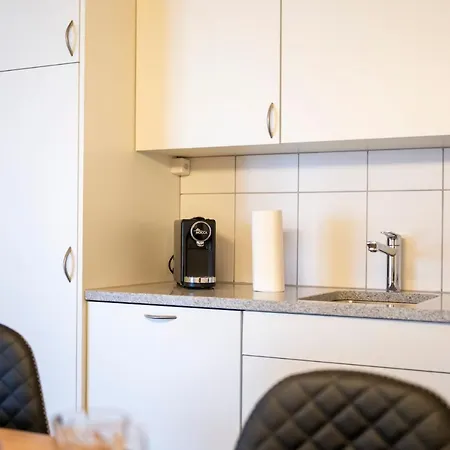 Apartment Chasa Chamuotsch Sent