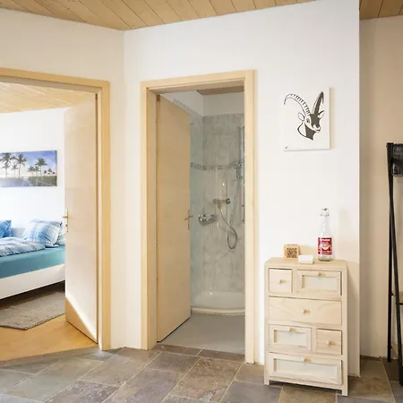 Apartment Chasa Chamuotsch Sent